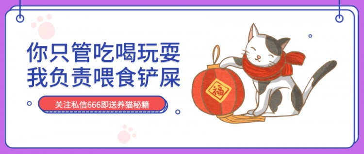 天使脸蛋，宛若精灵！俄罗斯蓝猫：战斗民族也有萌哒哒的小可爱