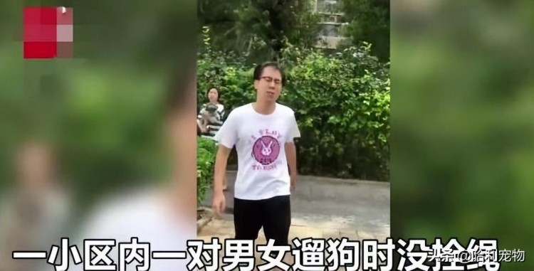 小区内遛狗该不该拴绳北京一对男女被斥责后竖起中指：被咬活该